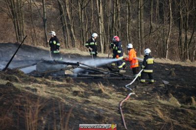 Kliknij aby obejrzeć w pełnym rozmiarze