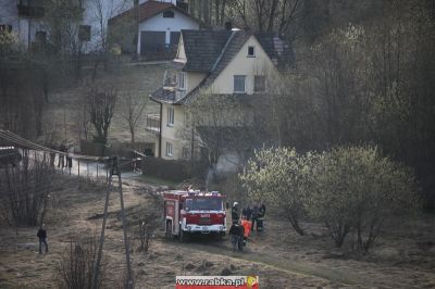 Kliknij aby obejrzeć w pełnym rozmiarze