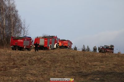 Kliknij aby obejrzeć w pełnym rozmiarze