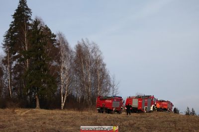 Kliknij aby obejrzeć w pełnym rozmiarze