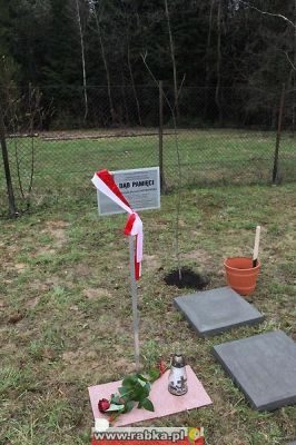 Kliknij aby obejrzeć w pełnym rozmiarze