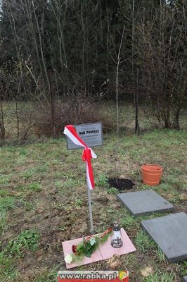 Kliknij aby obejrzeć w pełnym rozmiarze