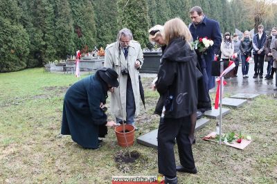 Kliknij aby obejrzeć w pełnym rozmiarze