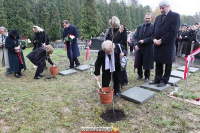 Kliknij aby obejrzeć w pełnym rozmiarze