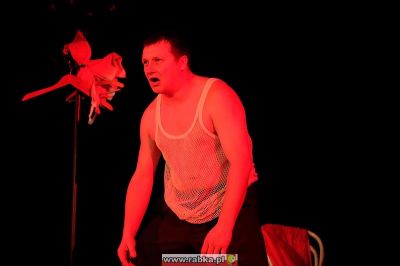 Kliknij aby obejrzeć w pełnym rozmiarze