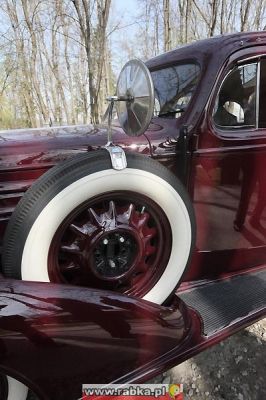 Kliknij aby obejrzeć w pełnym rozmiarze