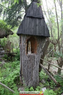 Kliknij aby obejrzeć w pełnym rozmiarze