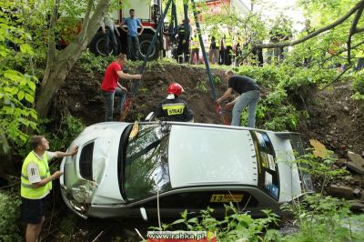 Kliknij aby obejrzeć w pełnym rozmiarze