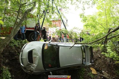 Kliknij aby obejrzeć w pełnym rozmiarze