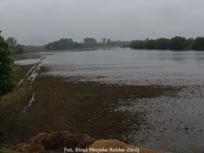Kliknij aby obejrzeć w pełnym rozmiarze