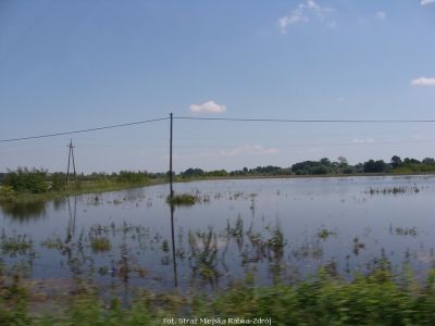 Kliknij aby obejrzeć w pełnym rozmiarze