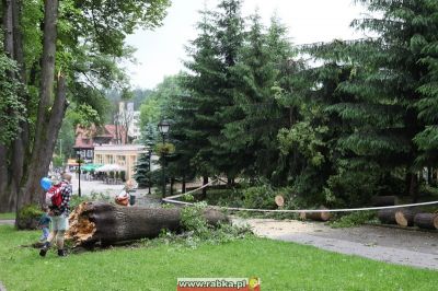 Kliknij aby obejrzeć w pełnym rozmiarze