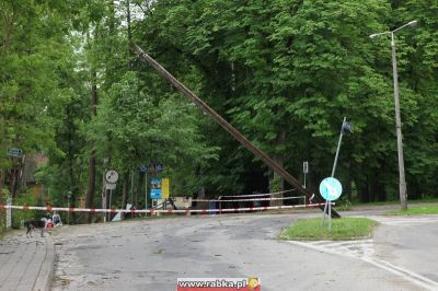 Kliknij aby obejrzeć w pełnym rozmiarze