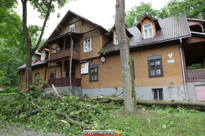 Kliknij aby obejrzeć w pełnym rozmiarze