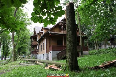 Kliknij aby obejrzeć w pełnym rozmiarze