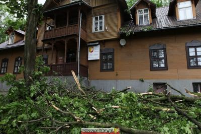 Kliknij aby obejrzeć w pełnym rozmiarze