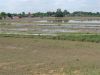 DSC07073.JPG