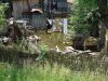 DSC07075.JPG