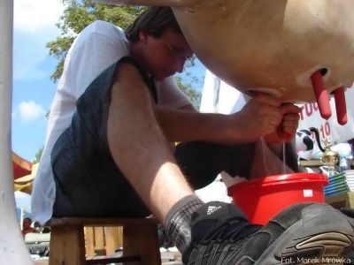 Kliknij aby obejrzeć w pełnym rozmiarze