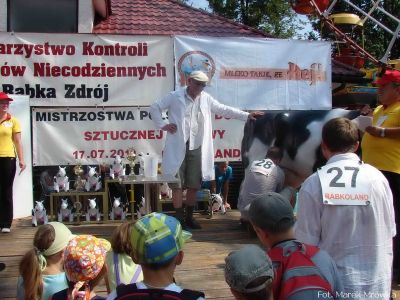 Kliknij aby obejrzeć w pełnym rozmiarze