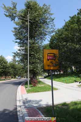 Kliknij aby obejrzeć w pełnym rozmiarze