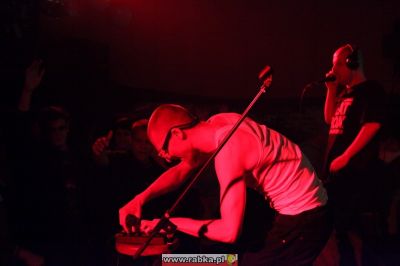 Kliknij aby obejrzeć w pełnym rozmiarze