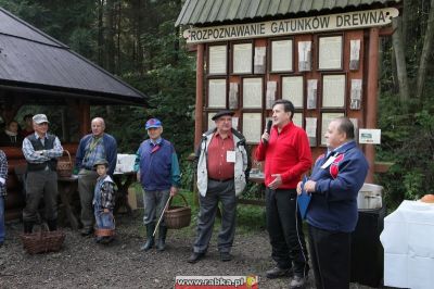 Kliknij aby obejrzeć w pełnym rozmiarze
