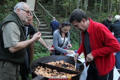 Kliknij aby obejrzeć w pełnym rozmiarze