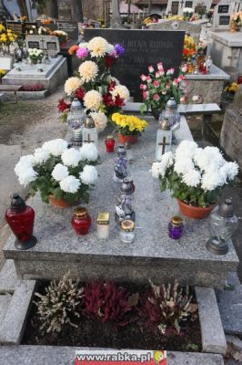 Kliknij aby obejrzeć w pełnym rozmiarze