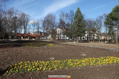 Kliknij aby obejrzeć w pełnym rozmiarze