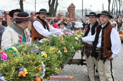Kliknij aby obejrzeć w pełnym rozmiarze