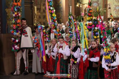 Kliknij aby obejrzeć w pełnym rozmiarze