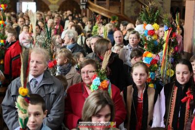 Kliknij aby obejrzeć w pełnym rozmiarze