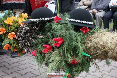 Kliknij aby obejrzeć w pełnym rozmiarze