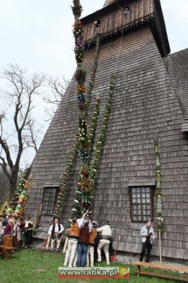 Kliknij aby obejrzeć w pełnym rozmiarze