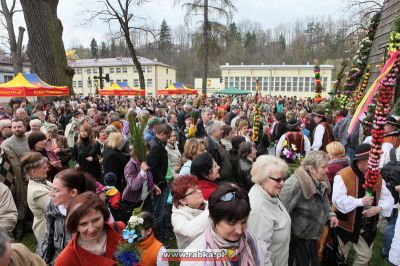 Kliknij aby obejrzeć w pełnym rozmiarze