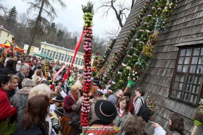Kliknij aby obejrzeć w pełnym rozmiarze