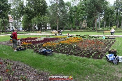 Kliknij aby obejrzeć w pełnym rozmiarze