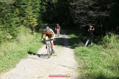 Kliknij aby obejrzeć w pełnym rozmiarze