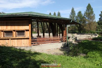 Kliknij aby obejrzeć w pełnym rozmiarze