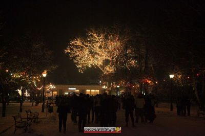 Kliknij aby obejrzeć w pełnym rozmiarze