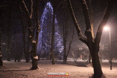 Kliknij aby obejrzeć w pełnym rozmiarze