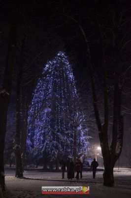 Kliknij aby obejrzeć w pełnym rozmiarze