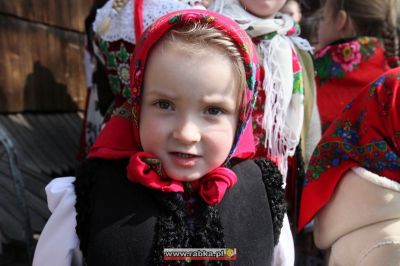 Kliknij aby obejrzeć w pełnym rozmiarze