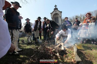 Kliknij aby obejrzeć w pełnym rozmiarze