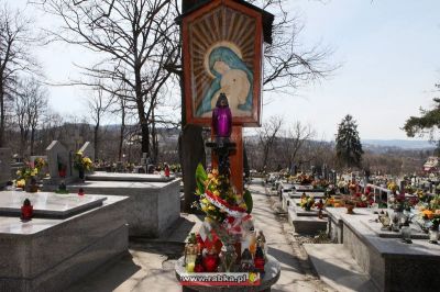 Kliknij aby obejrzeć w pełnym rozmiarze