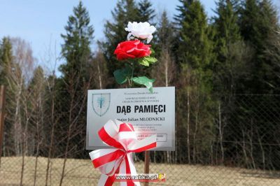 Kliknij aby obejrzeć w pełnym rozmiarze