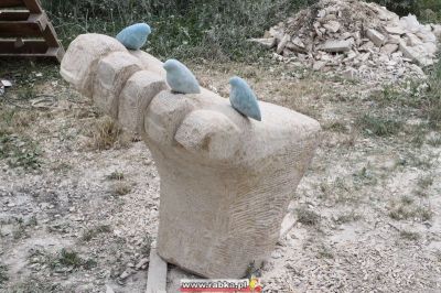 Kliknij aby obejrzeć w pełnym rozmiarze