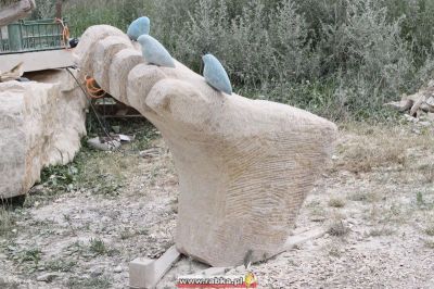 Kliknij aby obejrzeć w pełnym rozmiarze