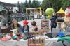 IMG_7016.JPG